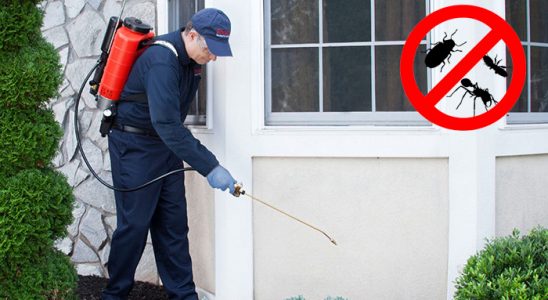Atabey Bit İlaçlama böcek ilaçlama ve haşere kontrolü — ilaclama-tr.com